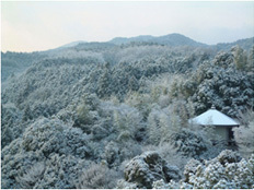 風景写真（冬景色）