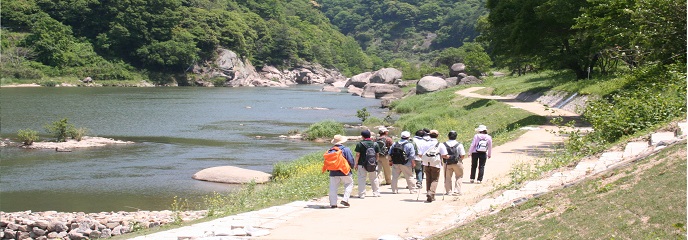 木津川沿いをハイキング