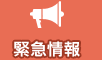 緊急情報