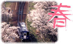笠置の春