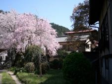 駅周辺1
