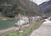 木津川南岸