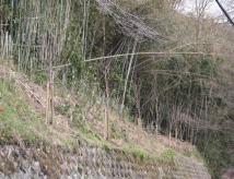 切山