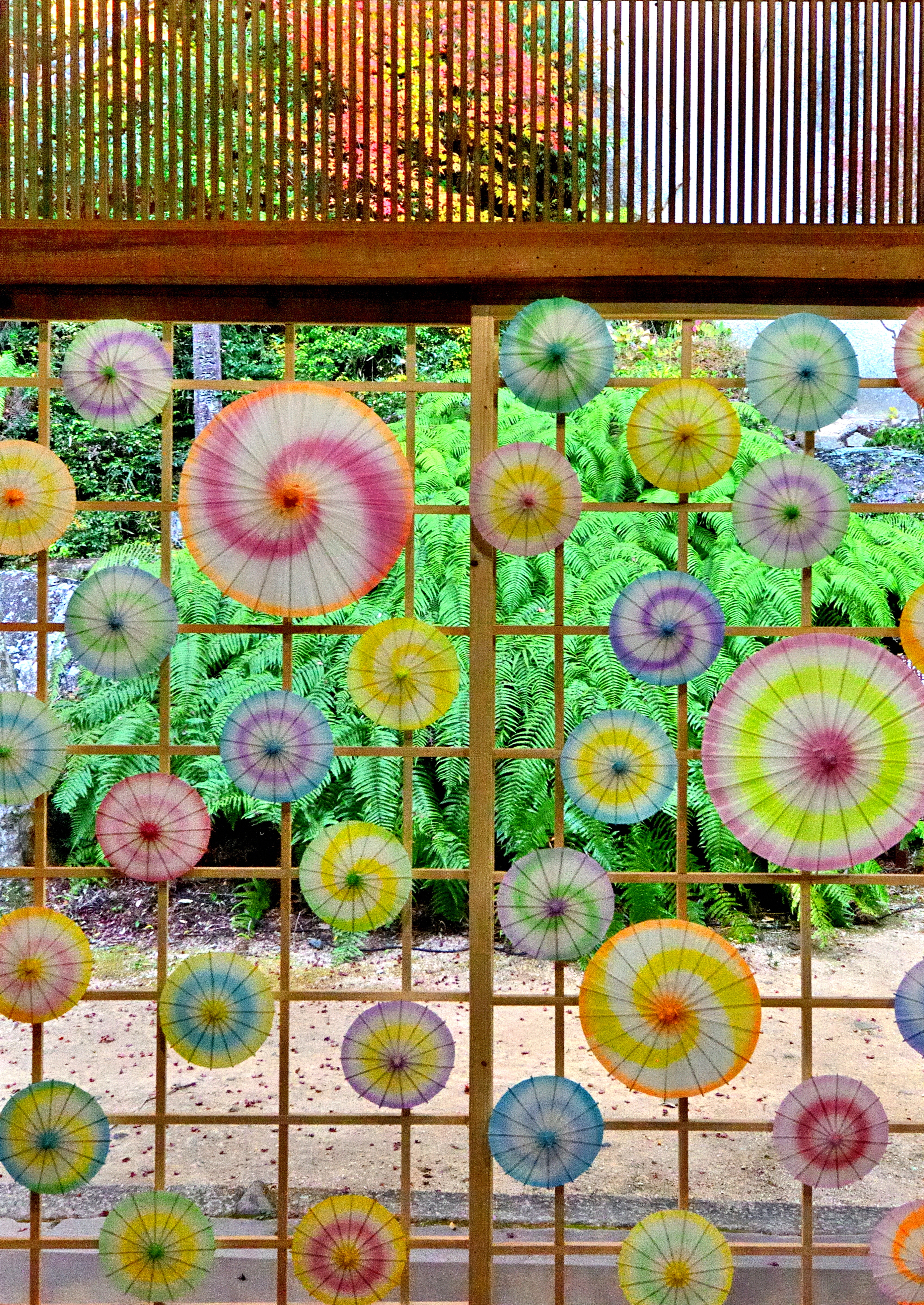 題名：正月堂のカラフルな傘