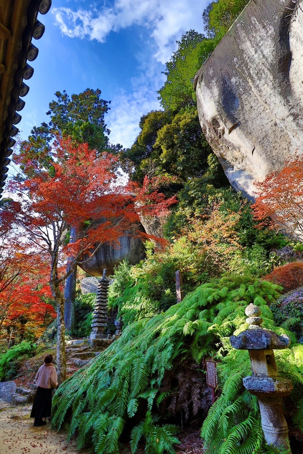 題名：森の中の笠置寺